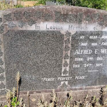 WEBER Alfred E. 1900-1960