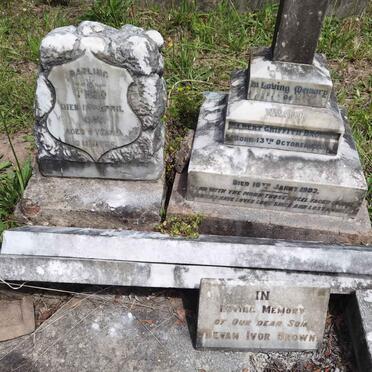 BROWN Bevan Ivor :: BROWN William Albert Griffith 1901-1903 :: BROWN Theo -1905