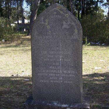 ? :: NEWELL Millie -1894