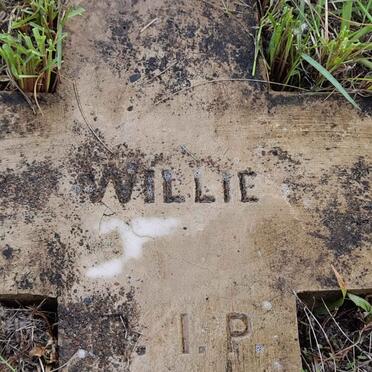 ? Willie
