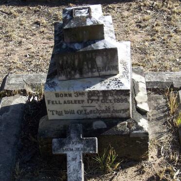 BAGSHAW Hilda 1894-1899