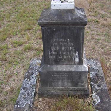 BELTON Enid 1917-1918