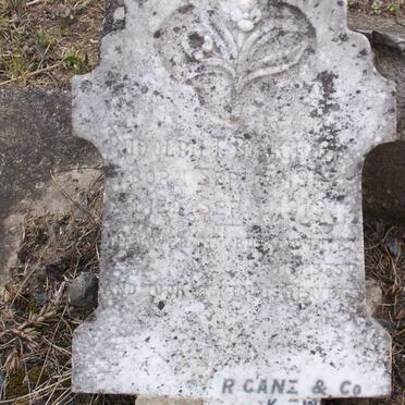 BIRKHOLTZ Rudolph T. 190?-1919