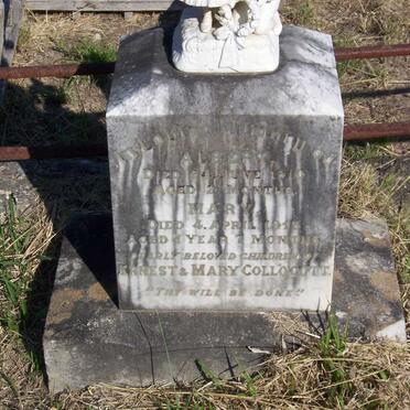 COLLOCOTT Albert -1910 :: COLLOCOTT Mary -1913