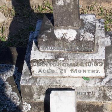 COOK Erica Thornhill -1909