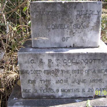 COLLOCOTT Bernard Gordon  -1896