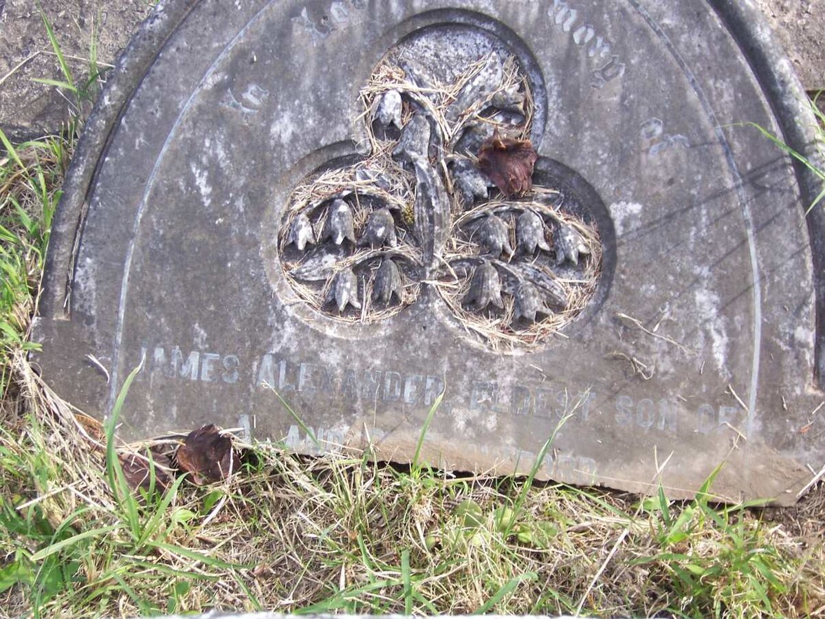 CRAWFORD James Alexander