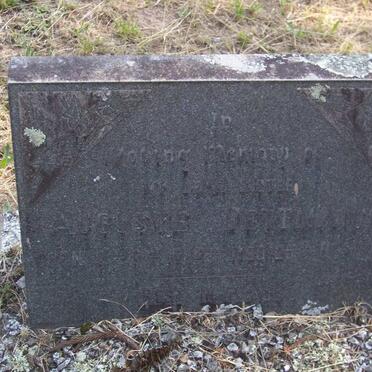 DETTMANN Auguste 1892-1908