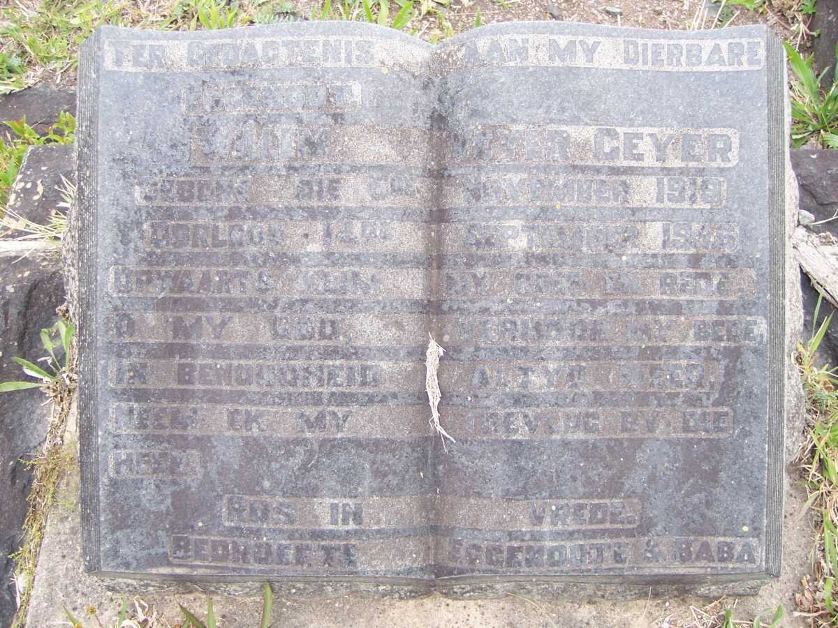 GEYER Willem Vyver 1919-1946