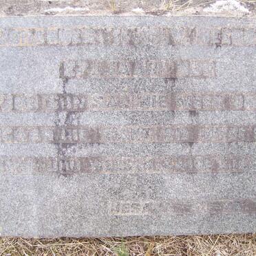 HEERDEN Johannes ?, van