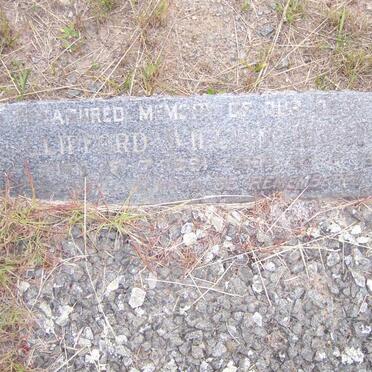 HERBERT Clifford William 1891-1945 &amp; Ivy Martha 1898-1928 :: HERBERT ?