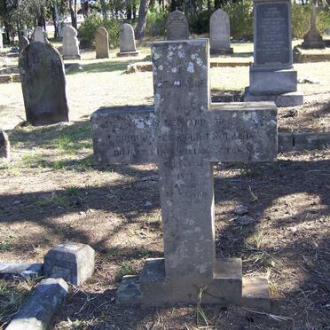 HEAD Henry Leonard -1871 