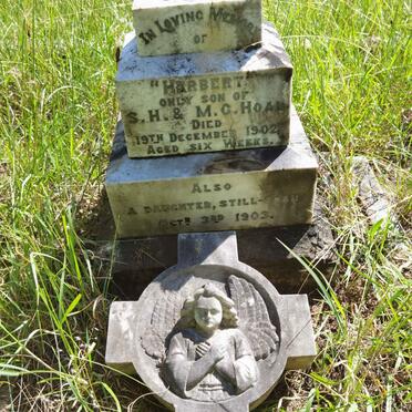 Ho - Surnames starting with the letters Ho