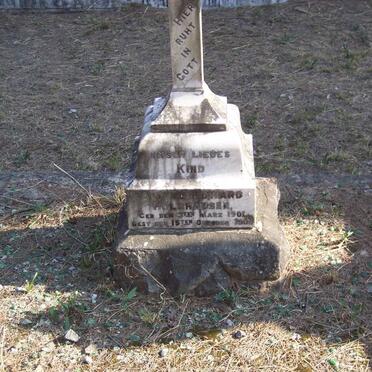 HOLSHAUSEN Alfred Edward 1901-1906