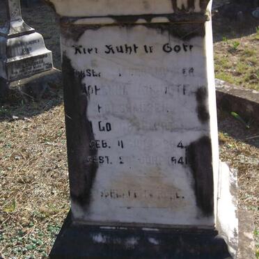 HOLSHAUSEN Johanna Auguste nee GOLDSCHMIDT 1864-1941