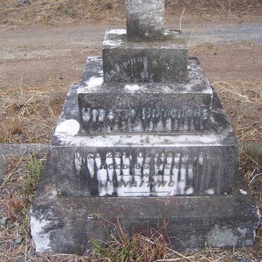 HUTCHONS Horatio -1916