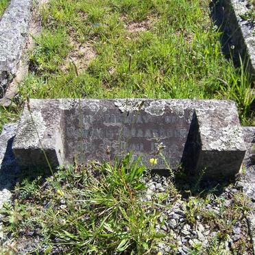 MAASDORP Oswald -1954