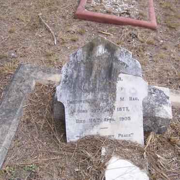 MILLER Julia nee REHFELDT 1877-1905