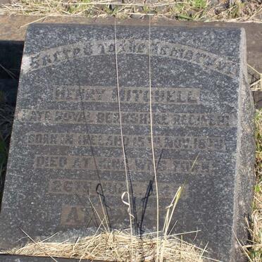 MITCHELL Henry 1876-1943