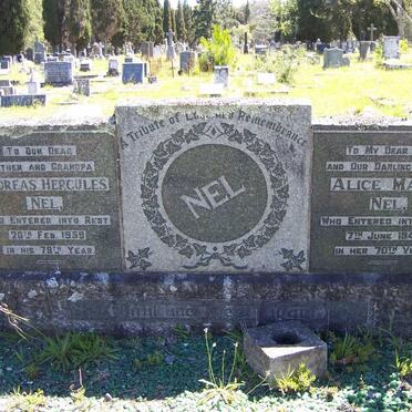 NEL Andreas Hercules -1959 &amp; Alice Maria -1944