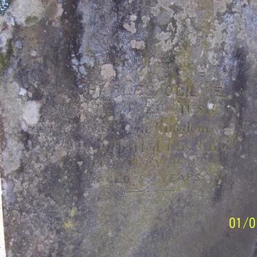 Og - Surnames starting with the letters Og