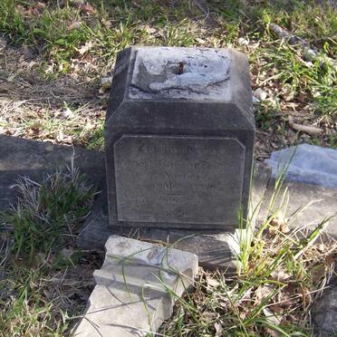 PEINKE Albert Caesar 1889-1891