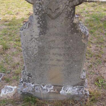 PETZER Magret 18?3-1917