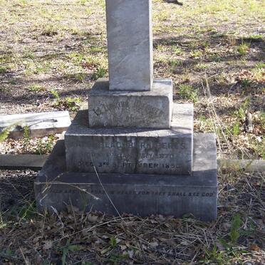 PERKS Katie Blackburn 1870-1890