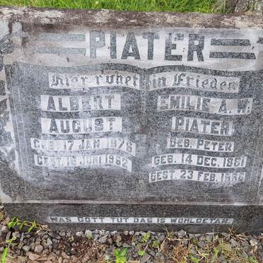 Pi - Surnames starting with the letters Pi