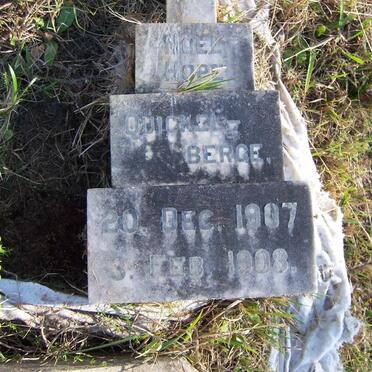 Q - Surnames :: Vanne - Q