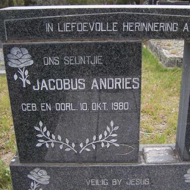 ROUX Jacobus Andries 1980-1980