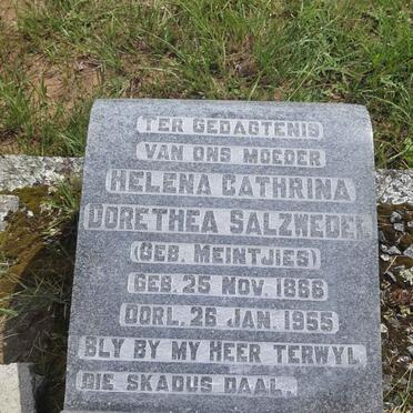 SALZWEDEL Helena Cathrina Dorethea nee MEINTJIES 1866-1955