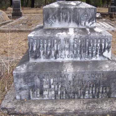 SCHROEDER Friedrich W. 1887-1909