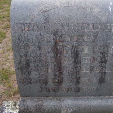 SCHMIDT Mary Elizabeth nee WIGGILL 1879-1928