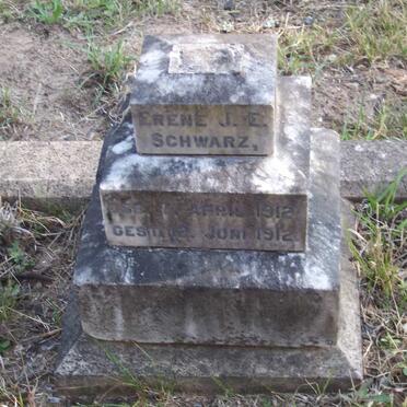 SCHWARZ Erene J.E. 1912-1912