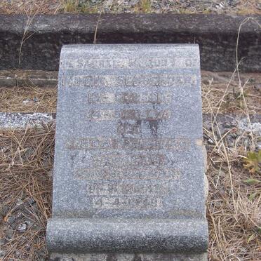 SCHROEDER Minnie 1890-1947 :: SAUNDERS Frieda Fredricka nee SCHROEDER