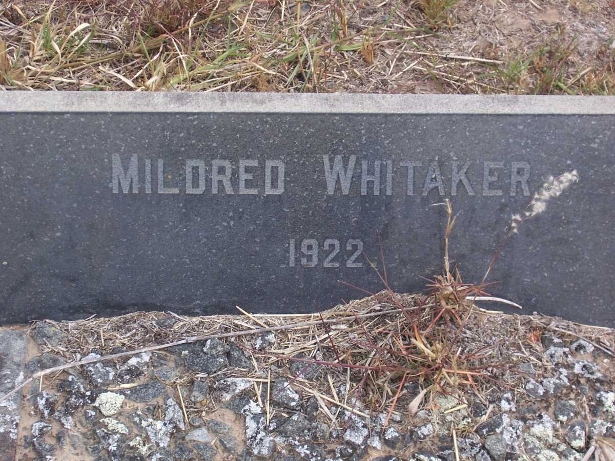 WHITAKER Mildred -1922