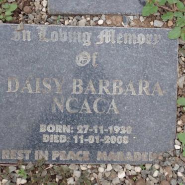 NCACA Daisy Barbara 1930-2008