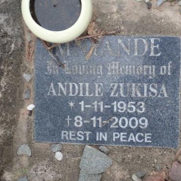 MNYANDE Andile Zukisa 1953-2009