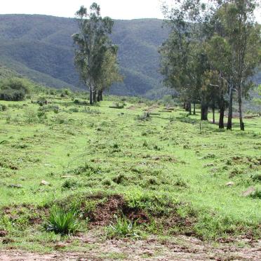 Eastern Cape, KIRKWOOD district, Enon Moravian Mission, cemetery