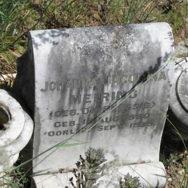 MEIRING Johanna Jacomina nee DU PLESSIS 1880-1935
