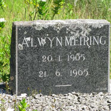 MEIRING Alwyn 1905-1965