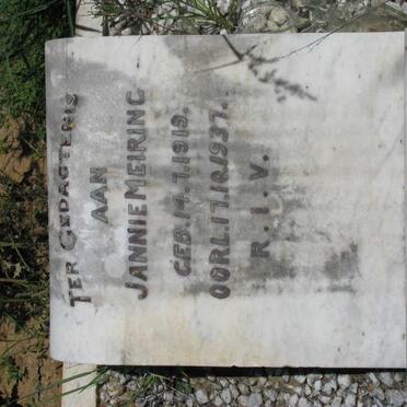 MEIRING Jannie 1919-1937