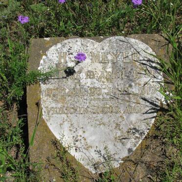 MEYER H.?. 1881-1913