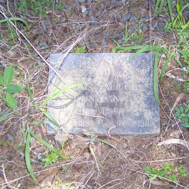 TAPSON ? Alice Constance nee HART 188?-1989