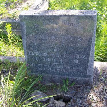 CAMMIDGE F. Norton 1877-1952 &amp; Catherine Mary 1877-1961