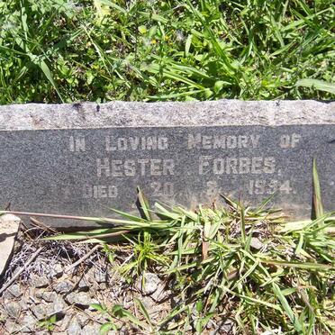 F - Vanne :: Surnames - F