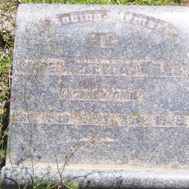 MILES Alice Rebecca nee TORR -1949