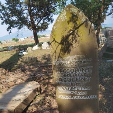 COLLINS C.E.C.  -1893