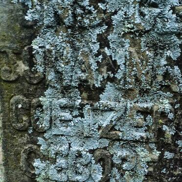 COETZER Johanna Hendrika nee GREYLING 1853-1939